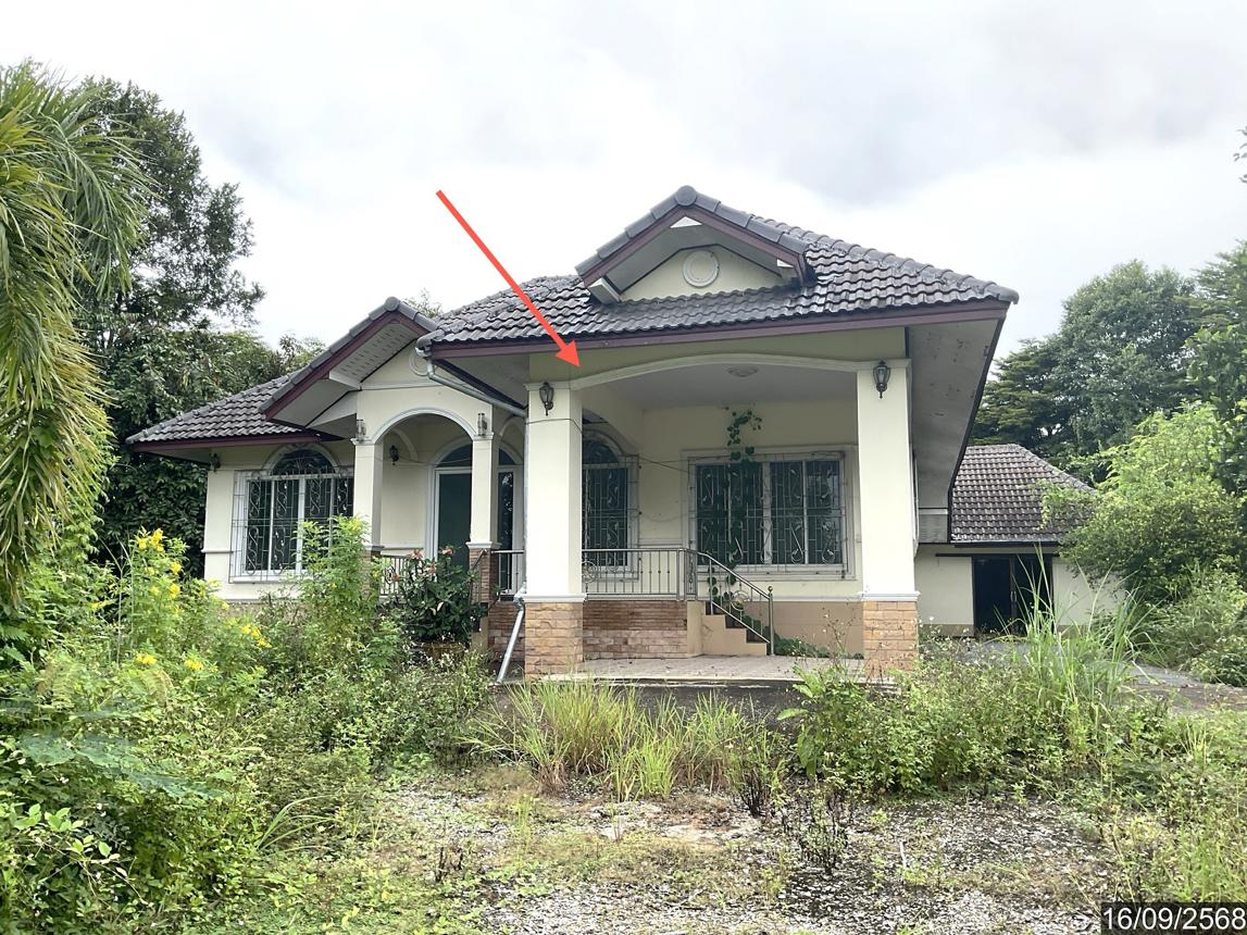 Single House in Phayamengrai, Chiangrai