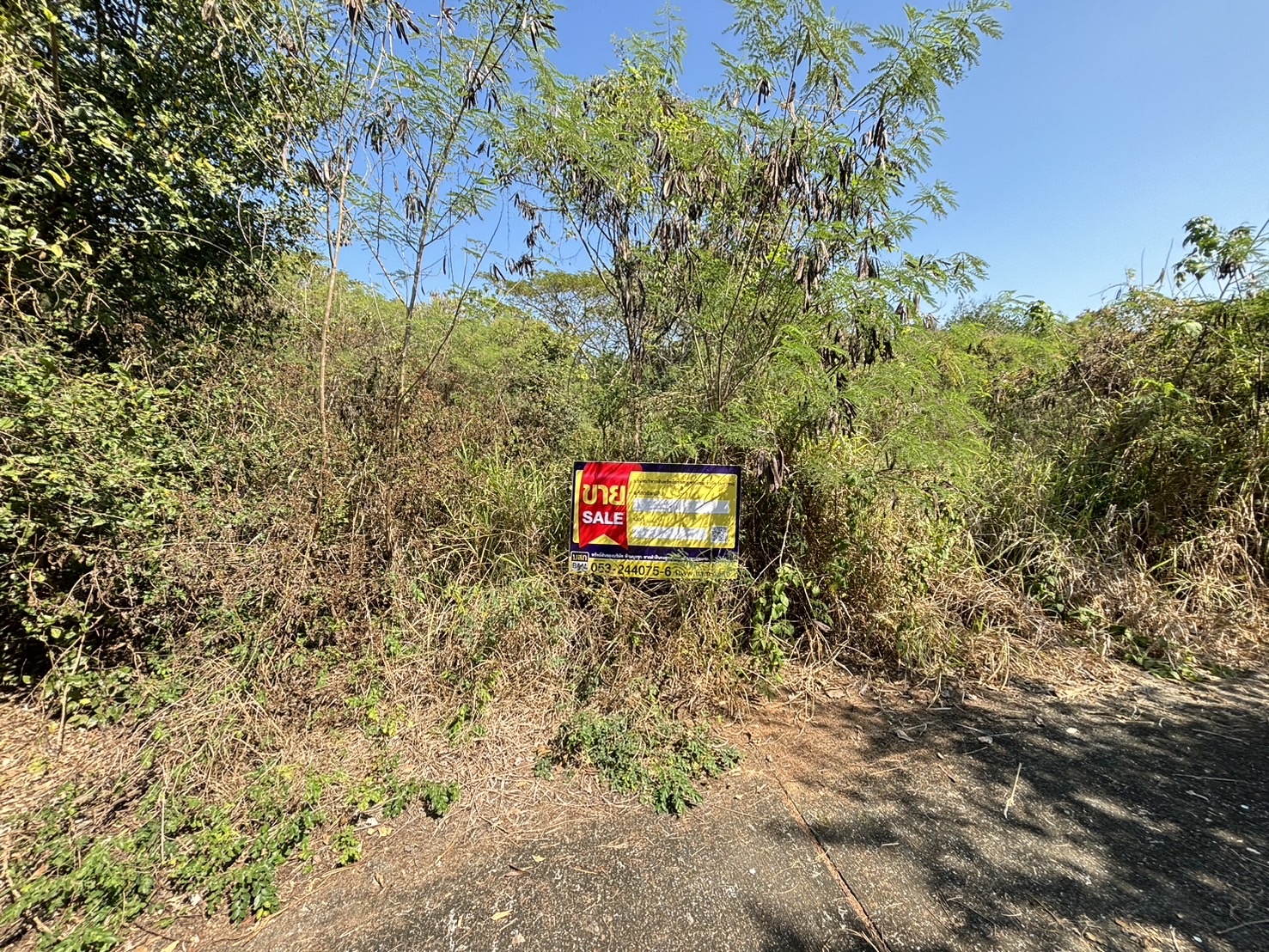 Empty land, Phra Phrom Paradise project, Chiang Mai