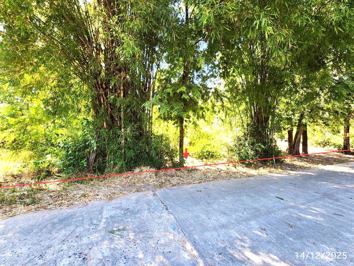 Vacant Land for Sale in Buri Buri, Maha Sarakham Province