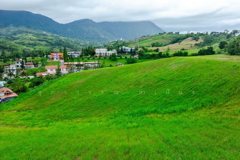 Khao Kho Land for Sale: Nor Sor 4. Plots available from 101 Sq. Wah to 100+ Rai., Phetchabun