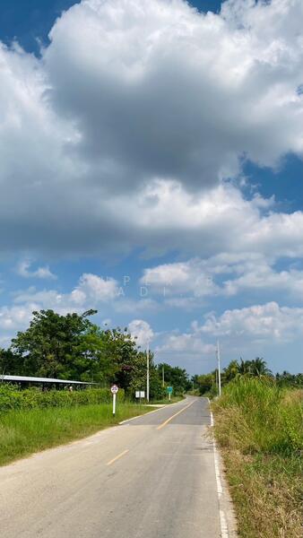 Land for sale Cha Am 4 Rai 1 Ngan 62 Sq.w. Rai Mai Pattana, Phetchaburi