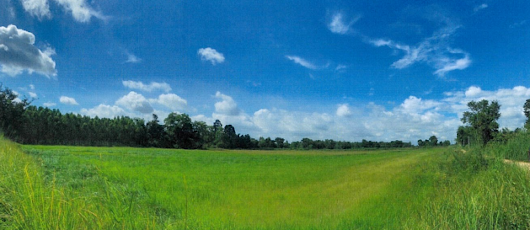 ที่ดินเปล่า กบินทร์บุรี ปราจีนบุรี