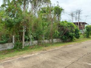 ที่ดินเปล่า เจริญศิลป์ สกลนคร คอนโดมิเนียมในใจกลางเมือง