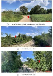 ที่ดินเปล่า วังน้อย จังหวัดพระนครศรีอยุธยา