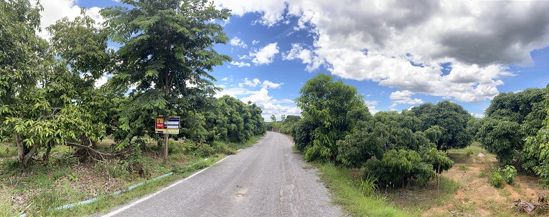 6-Plots of Vacant Land