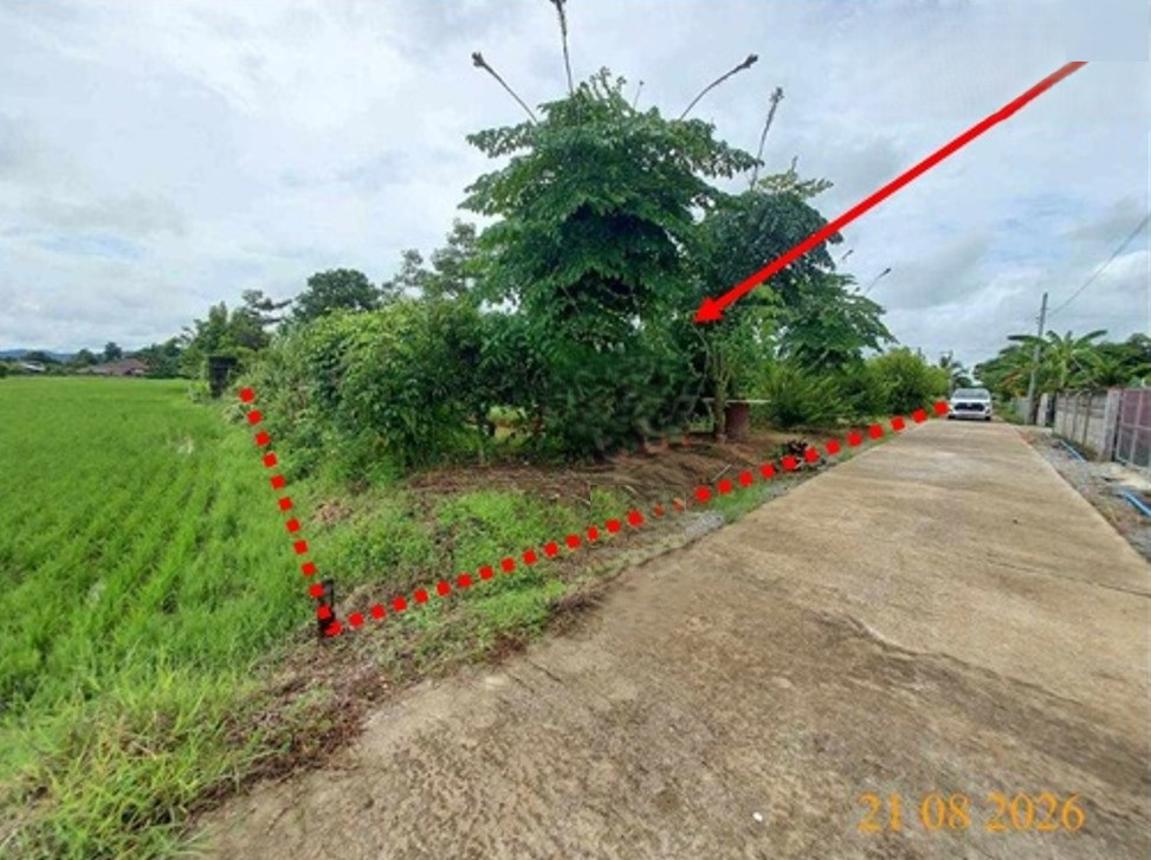 ที่ดินว่างเปล่า วังเวียง เชียงราย