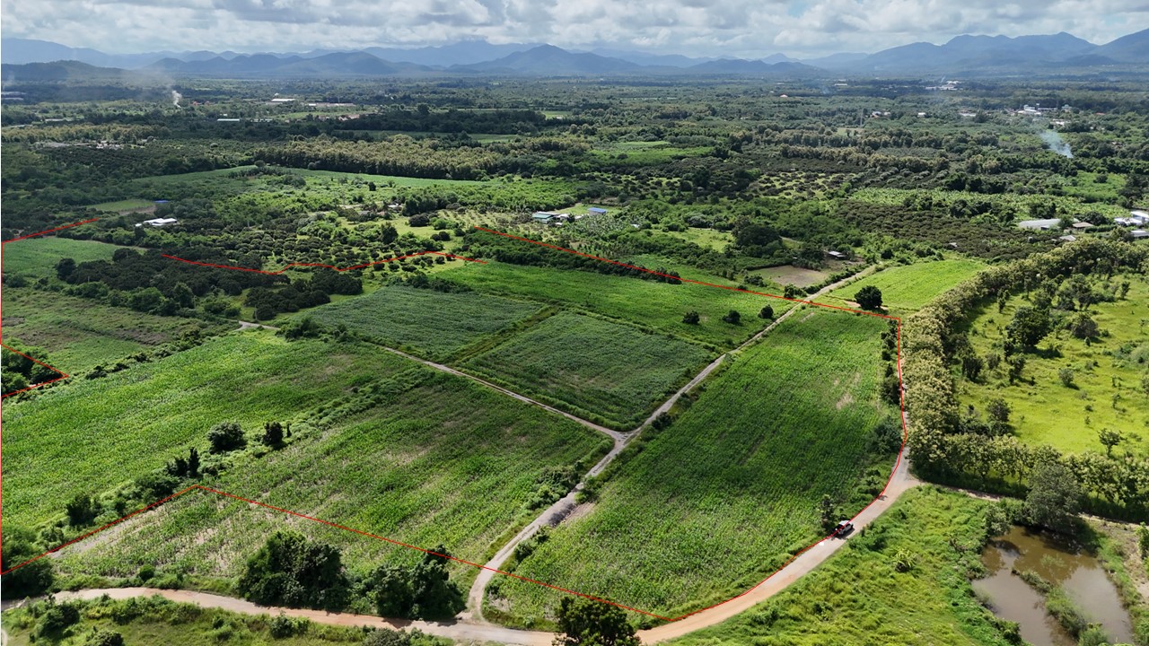 ที่ดินเปล่าจัดสรร โครงการน้ำหมานซิตี้วิว ลำพูน