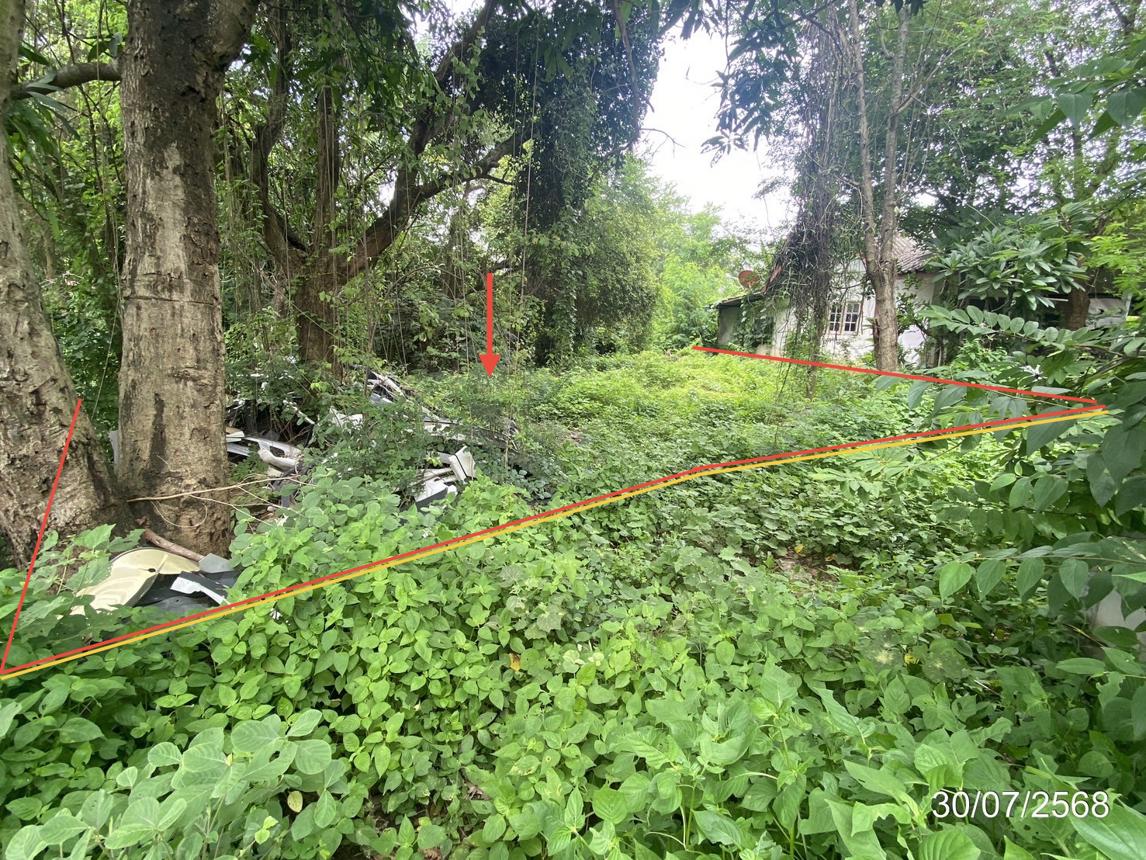 ที่ดินว่างเปล่า แขวงเชียงยืน อำเภอเชียงยืน จังหวัดมหาสารคาม