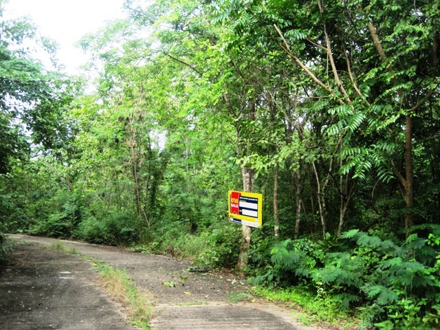 Empty land, Lanna Nakorn Country Park project, Lamphun