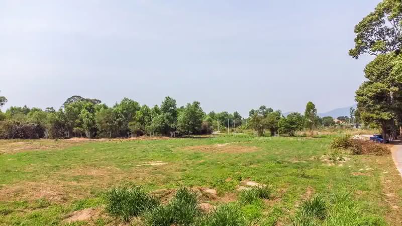 Prime Land Plots at Suan Son Beach – Ban Phe Only 400 meters from the beach, Rayong