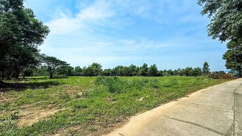 Prime Land Plots at Suan Son Beach – Ban Phe Only 400 meters from the beach, Rayong