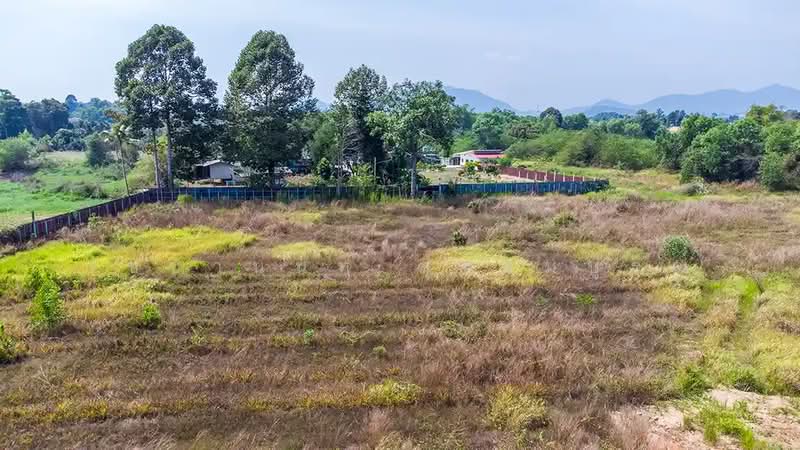 Prime Land Plots at Suan Son Beach – Ban Phe Only 400 meters from the beach, Rayong