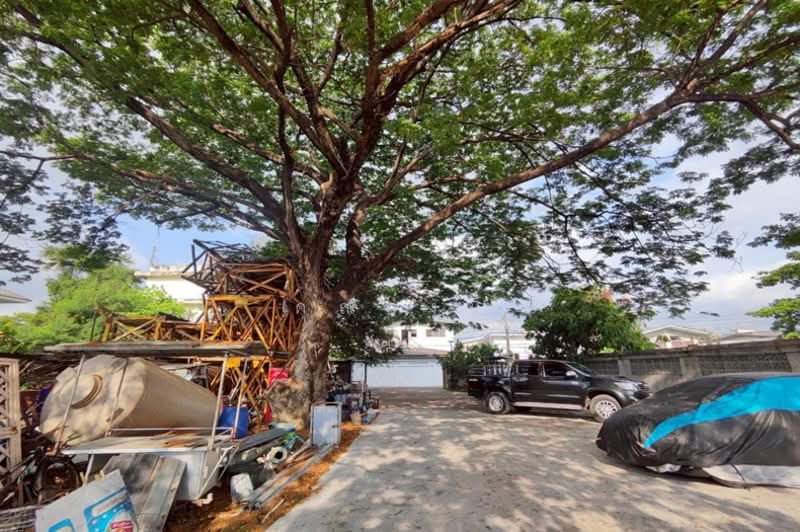 ขายที่ดิน 371 ตร.ว.พร้อมสิ่งปลูกสร้าง ซอยคู้บอน 24 เข้าออกได้ 2 ทาง ใกล้รถไฟฟ้าสายสีชมพู, Bangkok