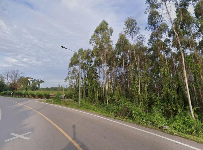 Land for sale in Lat Takhian, 17 rai, on 2-sided asphalt road, near Highway 304 - 11 km., Prachin Buri