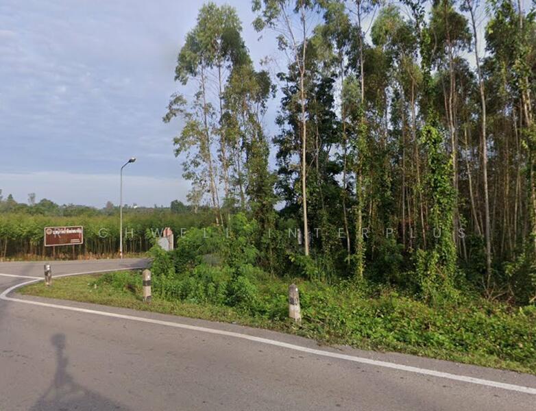 Land for sale in Lat Takhian, 17 rai, on 2-sided asphalt road, near Highway 304 - 11 km., Prachin Buri