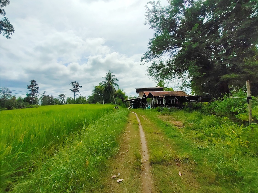 บ้านเดี่ยว โครงการบ้านนาหนองล้ำ อุบลราชธานี