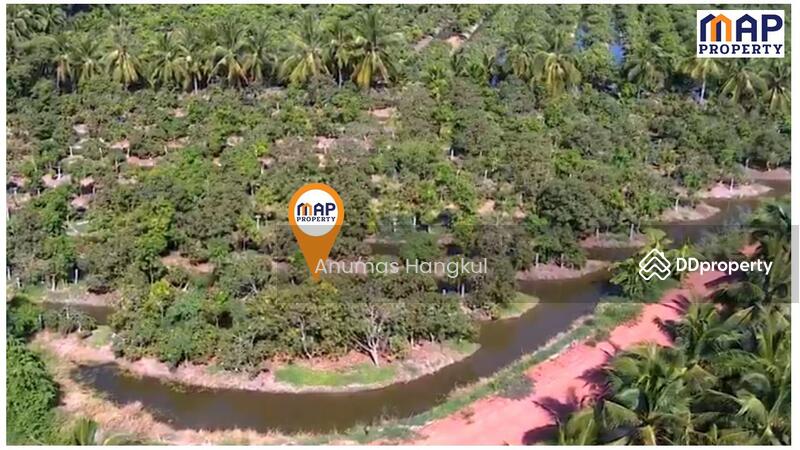 ขายที่สวนมะม่วง 5 ไร่ ใกล้แม่น้ำท่าจีน, Samut Sakhon