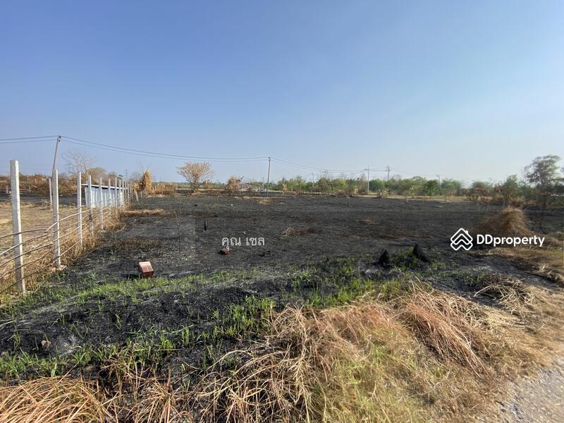 Land at Lamsai, Lam luk ka, pathum-thani