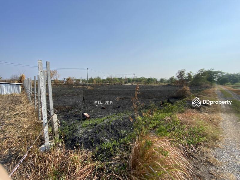 Land at Lamsai, Lam luk ka, pathum-thani