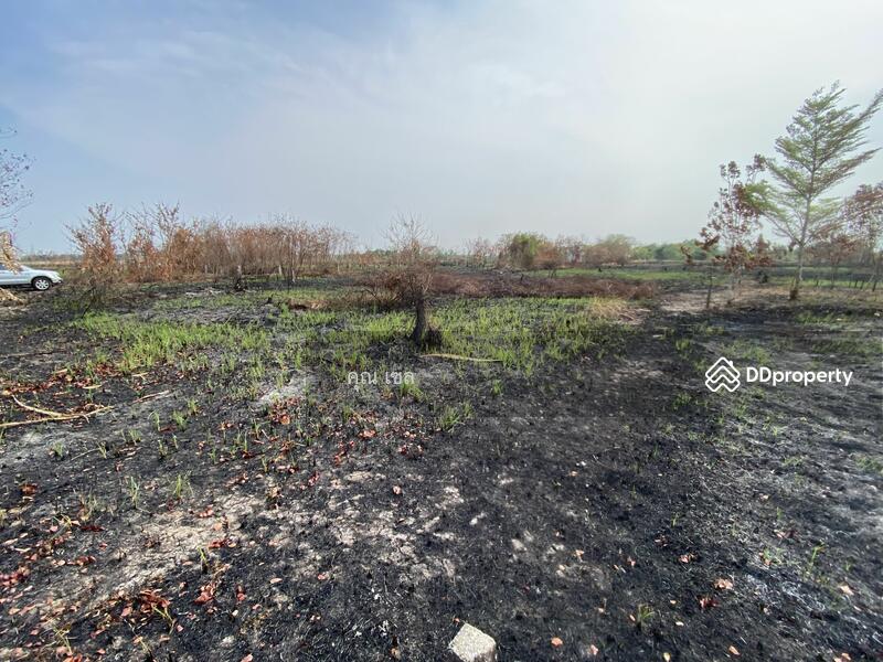 Land at Lamsai, Lam luk ka, pathum-thani