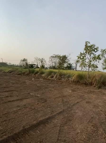 Land at Lamsai, Lam luk ka, pathum-thani