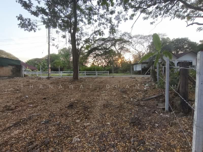 Vacant Land for Sale in Chiang Mai (Tha Sa La) – 114 Sq.Wah, Chiang Mai