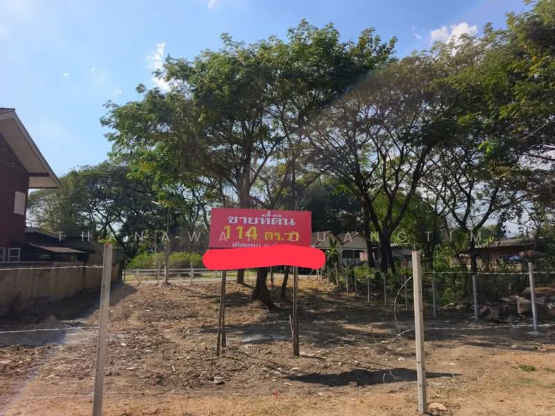 Vacant Land for Sale in Chiang Mai (Tha Sa La) – 114 Sq.Wah, Chiang Mai
