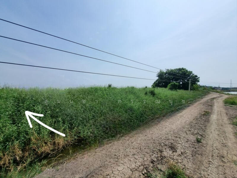 For sale Land Soi Wat Hom Sin Bangna-Trad Road Km. 34 Chachoengsao Bang Pakong, Chachoengsao