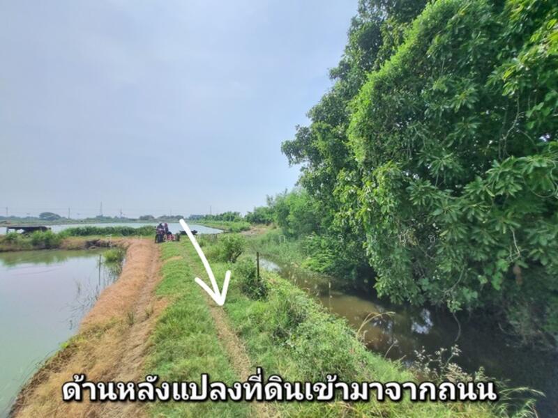 For sale Land Soi Wat Hom Sin Bangna-Trad Road Km. 34 Chachoengsao Bang Pakong, Chachoengsao