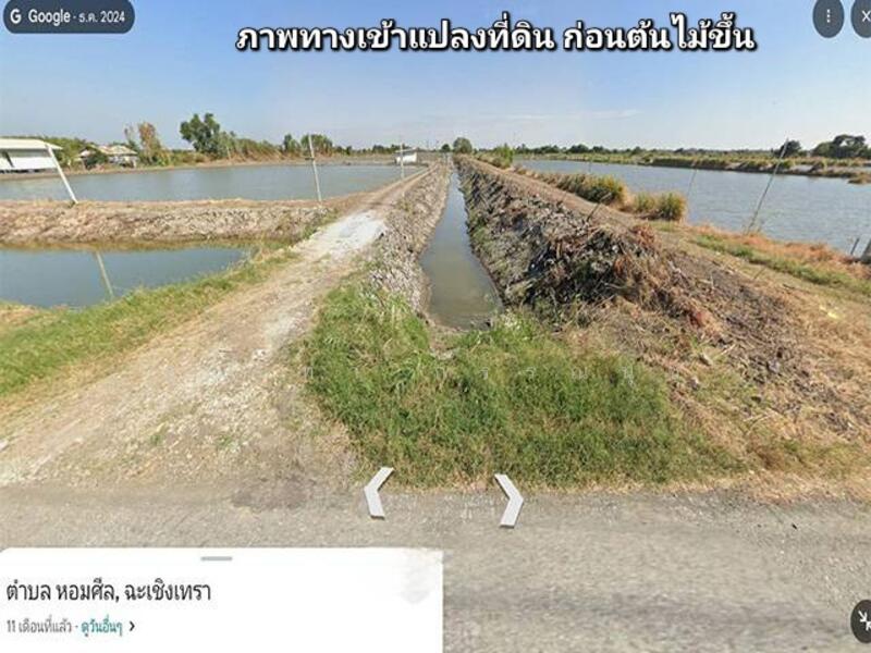 For sale Land Soi Wat Hom Sin Bangna-Trad Road Km. 34 Chachoengsao Bang Pakong, Chachoengsao