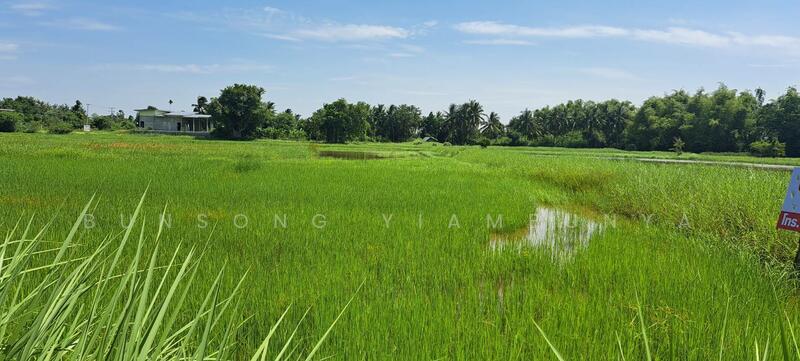 Land for Sale – 4 Rai, Chanote Title, Kalasin City (Owner Direct Sale), Kalasin