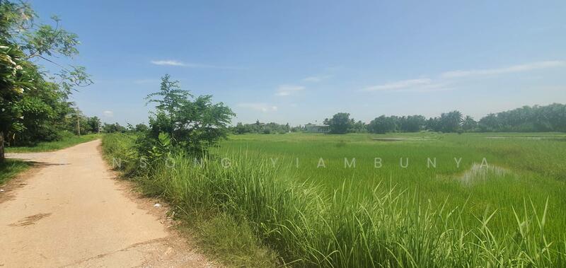 Land for Sale – 4 Rai, Chanote Title, Kalasin City (Owner Direct Sale), Kalasin