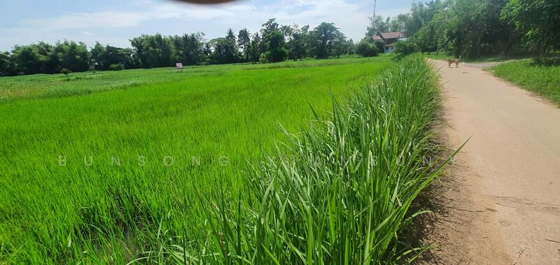 Land for Sale – 4 Rai, Chanote Title, Kalasin City (Owner Direct Sale), Kalasin