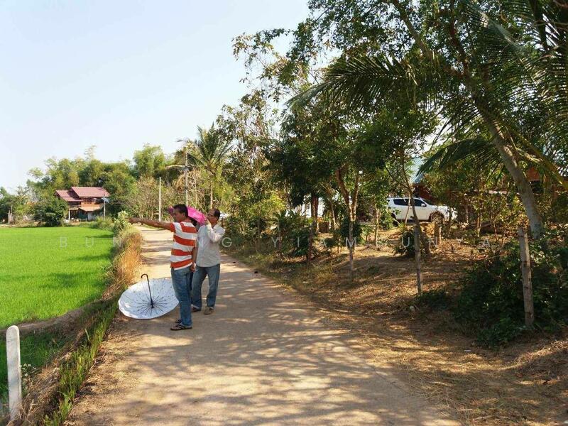Land for Sale – 4 Rai, Chanote Title, Kalasin City (Owner Direct Sale), Kalasin