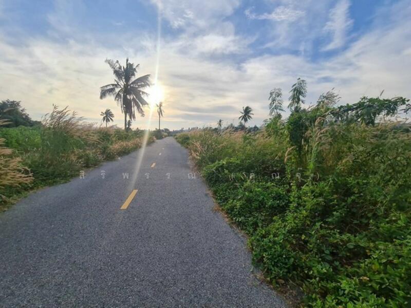 ที่ดินบางเสร่, Chon Buri (Pattaya)