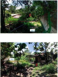 บ้านเดี่ยว ฝาง จังหวัดเชียงใหม่