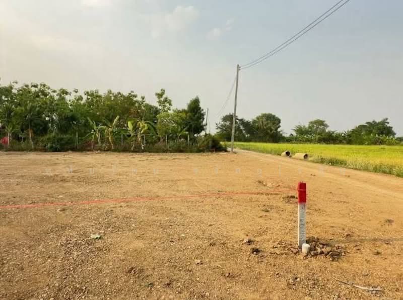 Land with mountain and beautiful rice field views, near Central Festival Chiang Mai, chiang-mai