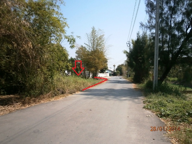 ที่ดินเปล่า ลำผักชี หนองจอก