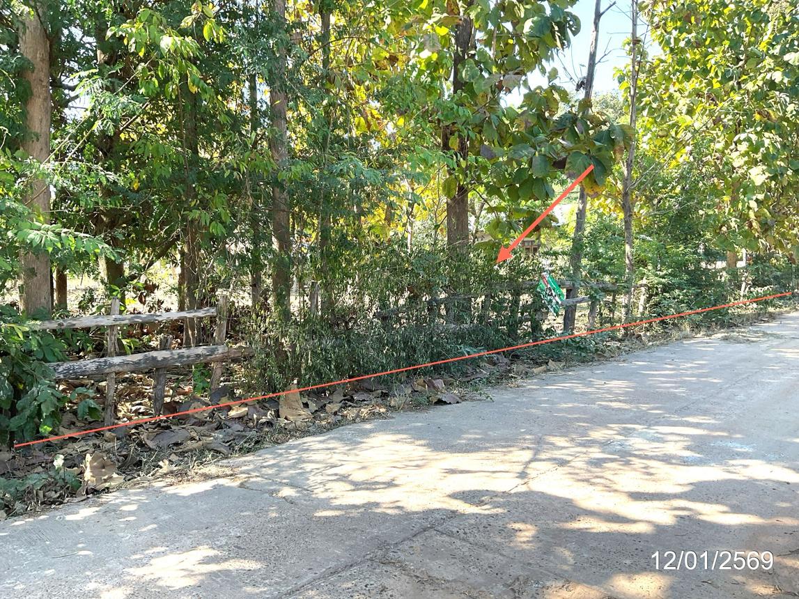 Vacant Land, Ranot City, Nakhon Phanom Province