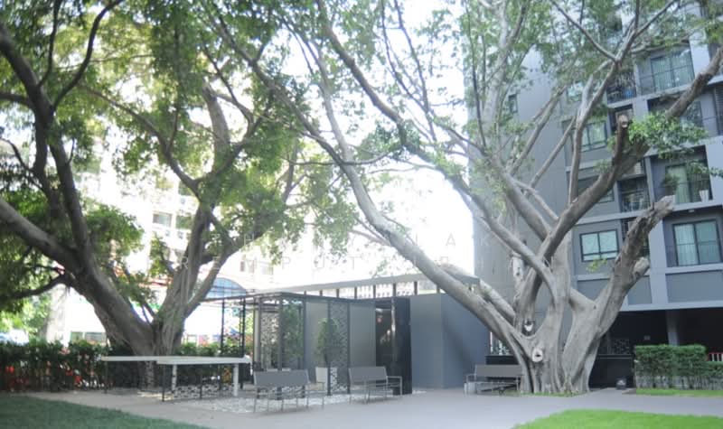 The Seed Mingle Sathorn-Suanplu, Bangkok