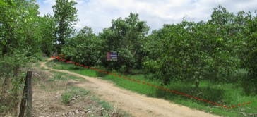 ที่ดินเปล่า โครงการสวนเกษตรหริภุญชัย 2 (ปิ่นอนงค์) ลำพูน