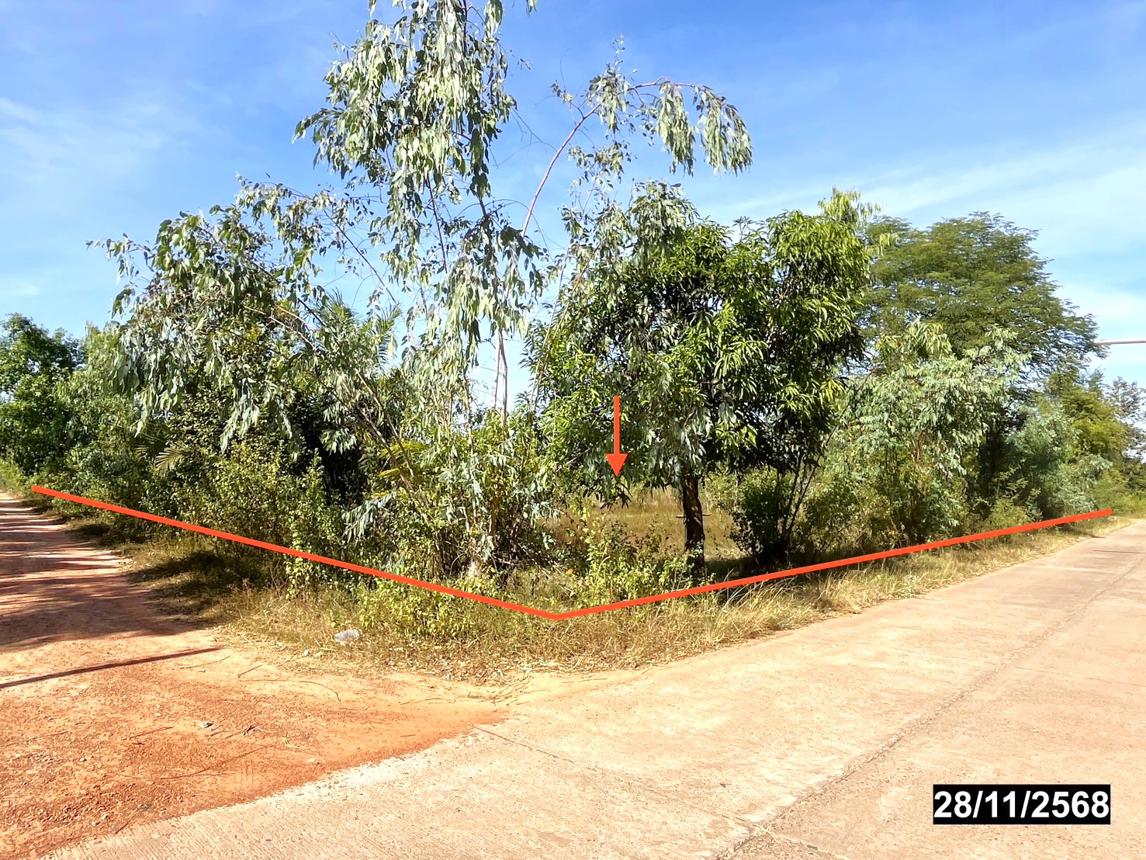 ที่ดินว่างเปล่า เมืองบึงกาฬ จังหวัดบึงกาฬ