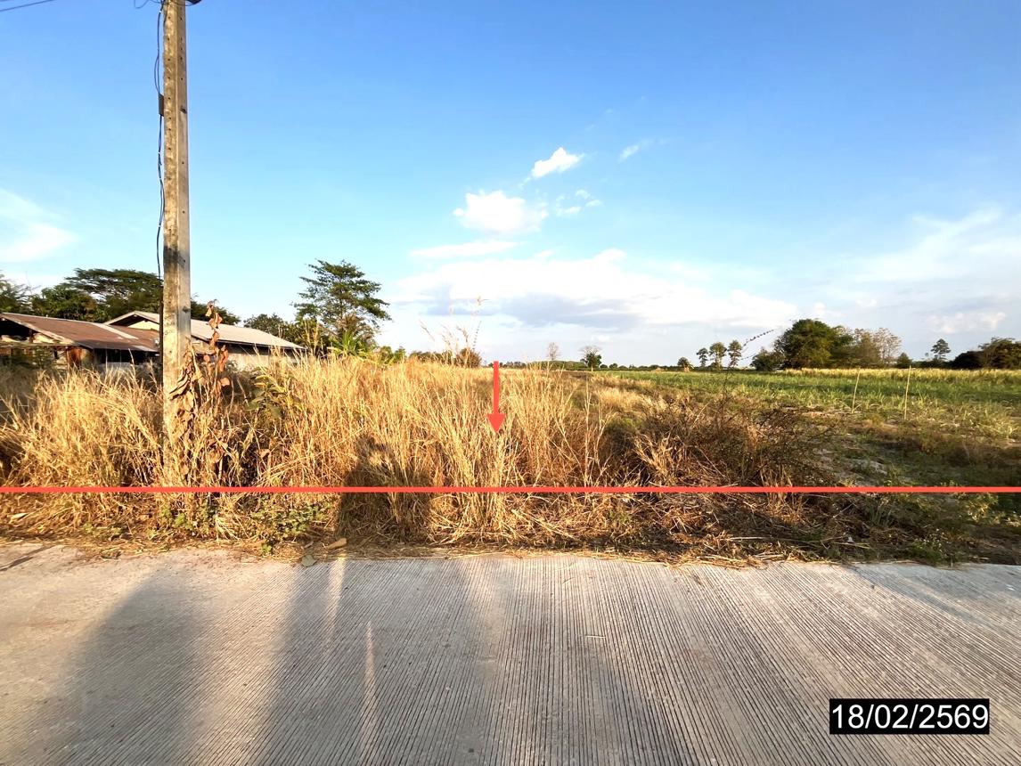 Vacant Land in Nong Kung Si, Kalasin