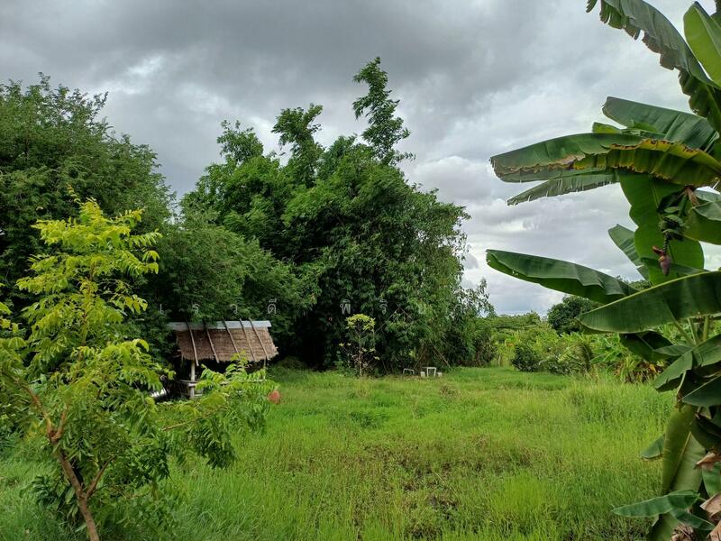 Land for sale, Ratchaburi