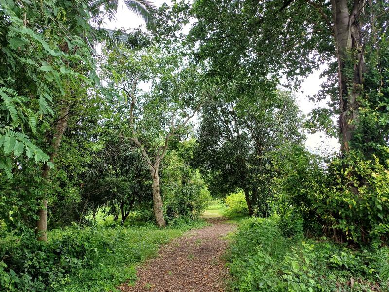 Land for sale, Ratchaburi