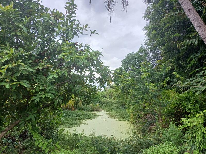 Land for sale, Ratchaburi
