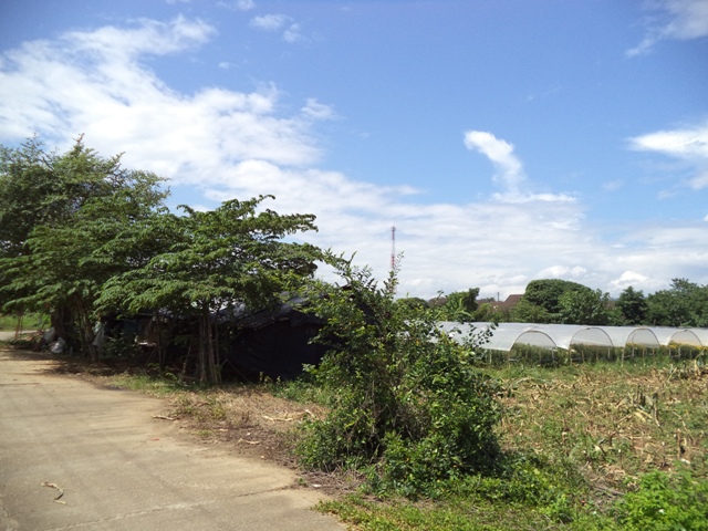 Vacant Land site 30x85m.