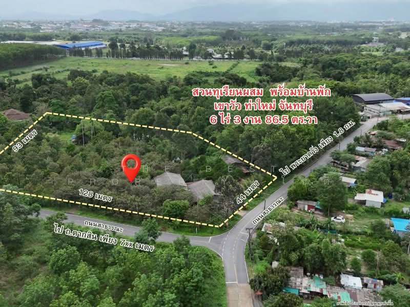 ที่ดินท่าใหม่ จันทบุรี, Chanthaburi