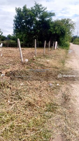 ขายที่ดินถมแล้ว 195 ตารางวา ล้อมรั้ว ตำบลสามพระยา อำเภอชะอำ เพชรบุรี, Phetchaburi