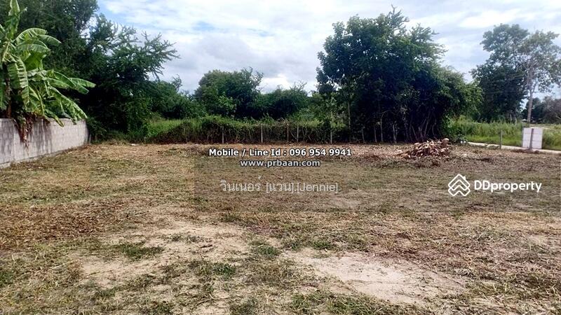 ขายที่ดินถมแล้ว 195 ตารางวา ล้อมรั้ว ตำบลสามพระยา อำเภอชะอำ เพชรบุรี, Phetchaburi